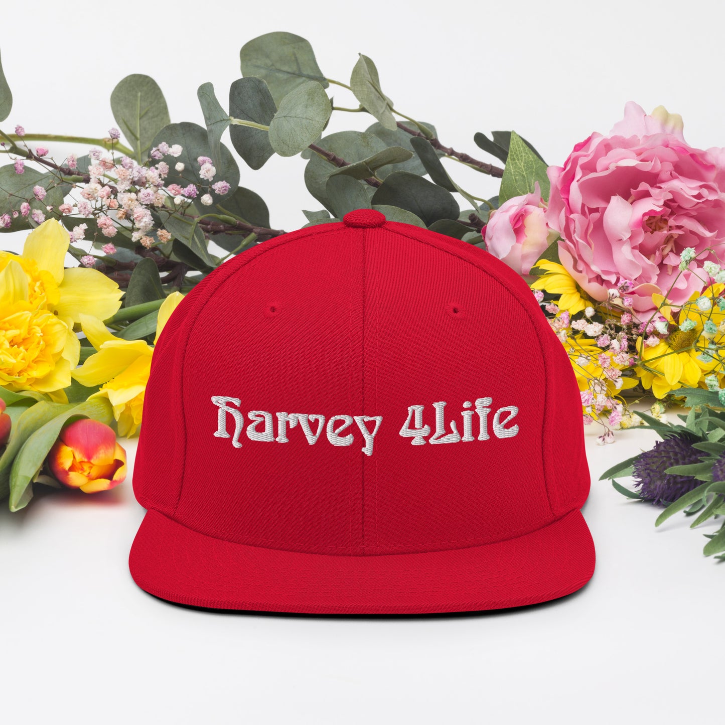 Harvey 4Life Snapback Hat